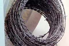 Barbed_Wire